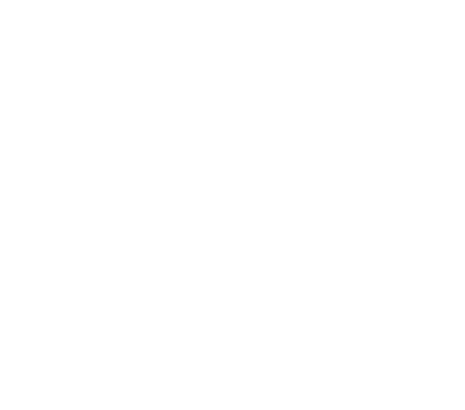 Spark Value White Logo